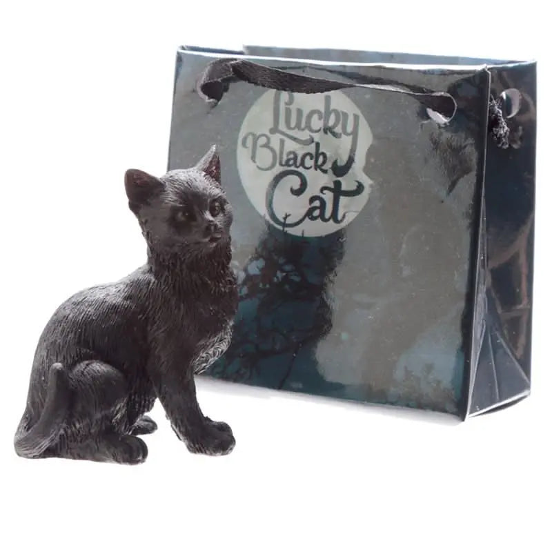 Gato Negro de la Suerte con Bolsa de Regalo - Esotergia Tienda