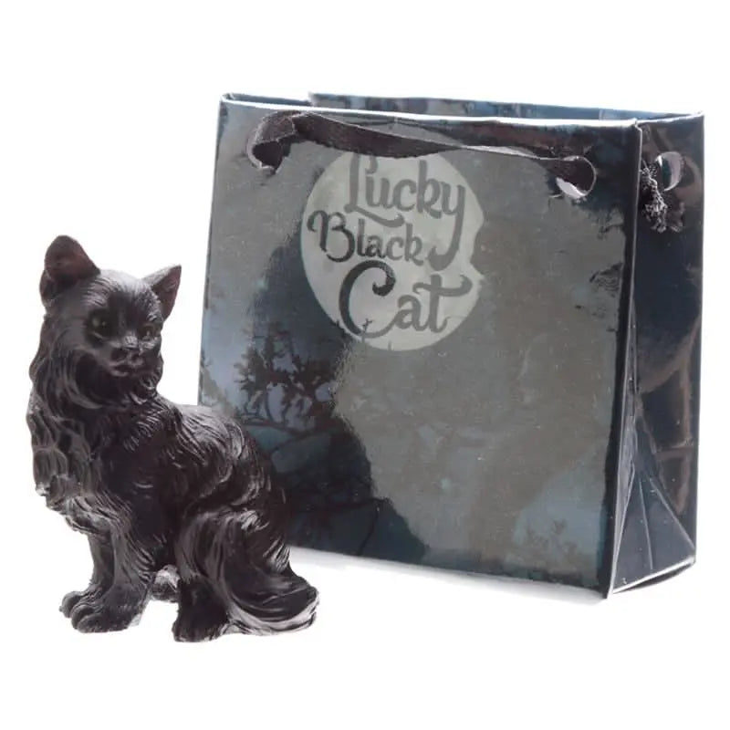 Gato Negro de la Suerte con Bolsa de Regalo - Esotergia Tienda