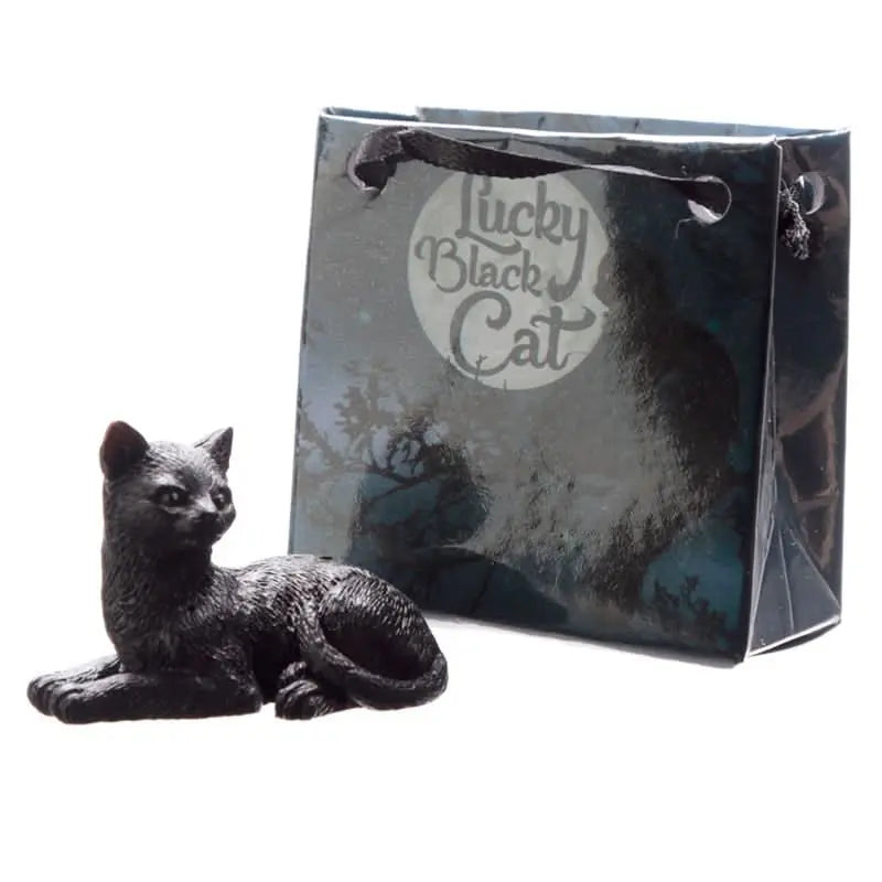 Gato Negro de la Suerte con Bolsa de Regalo - Esotergia Tienda