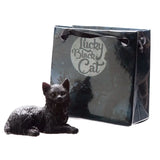 Gato Negro de la Suerte con Bolsa de Regalo - Esotergia Tienda