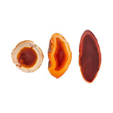 Placa de Ágata Marrón – Energía de Estabilidad y Decoración Espiritual Esotergia