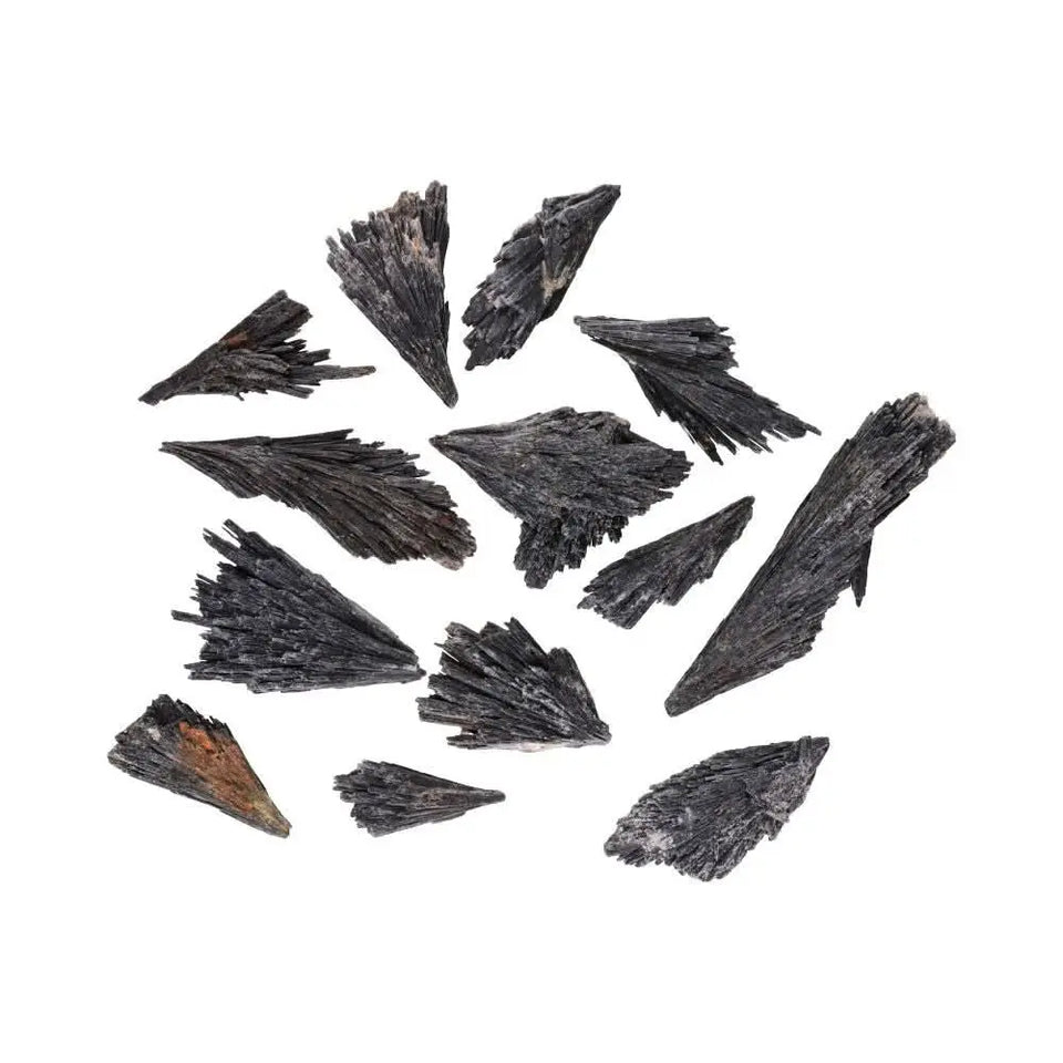 Taramita Cianita Negra – Escoba de Bruja Protectora Esotergia