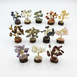 Estuche Colección 12 Árboles de Minerales Naturales | Equilibrio y Armonía tiendamerlin