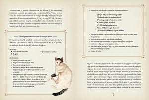 La Magia de los Gatos: Descubra el Poder y la Magia de los Felinos a lo largo de la Historia