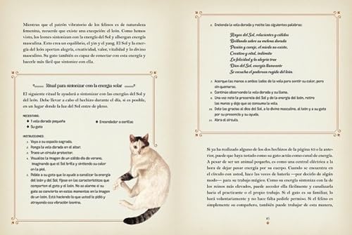 La Magia de los Gatos: Descubra el Poder y la Magia de los Felinos a lo largo de la Historia