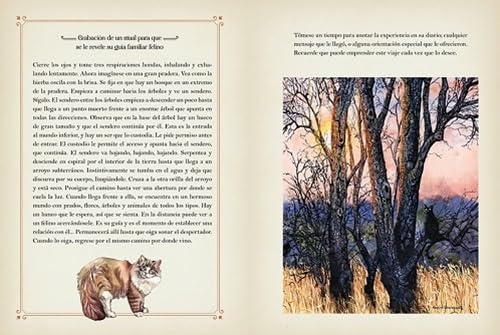 La Magia de los Gatos: Descubra el Poder y la Magia de los Felinos a lo largo de la Historia