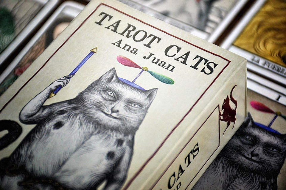 Tarot Fournier Cats de Ana Juan: Baraja Artística de Cartas de Tarot