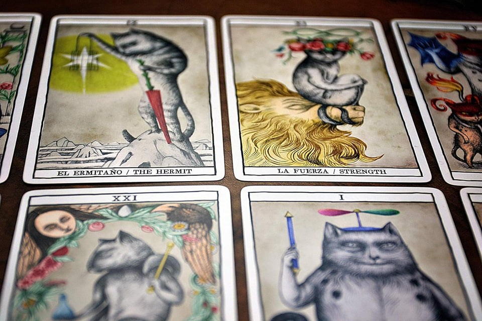 Tarot Fournier Cats de Ana Juan: Baraja Artística de Cartas de Tarot