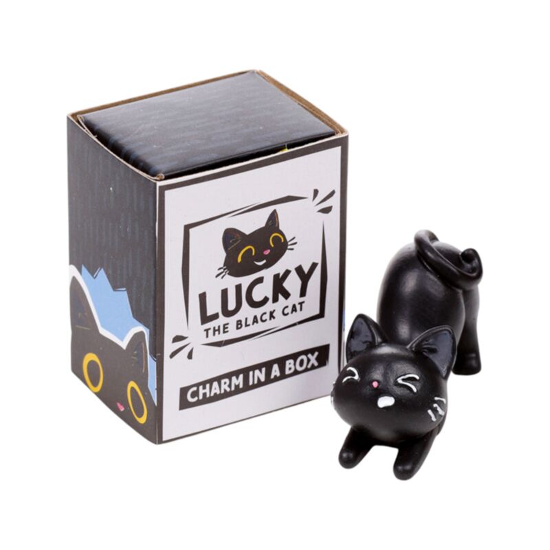 [PREVENTA] Amuleto Mágico: Gato Negro Lucky Esotergia Tienda