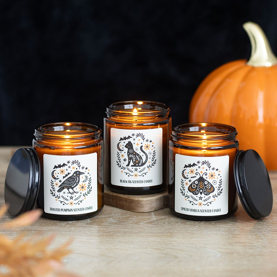 Vela Aromática Calabaza Asada "Cuervo Místico" | Calidez y Magia Otoñal Esotergia