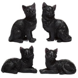 Gato Negro de la Suerte Esotergia Tienda