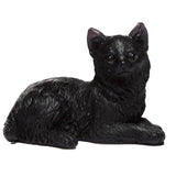 Gato Negro de la Suerte Esotergia Tienda
