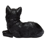 Gato Negro de la Suerte Esotergia Tienda