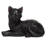 Gato Negro de la Suerte Esotergia Tienda