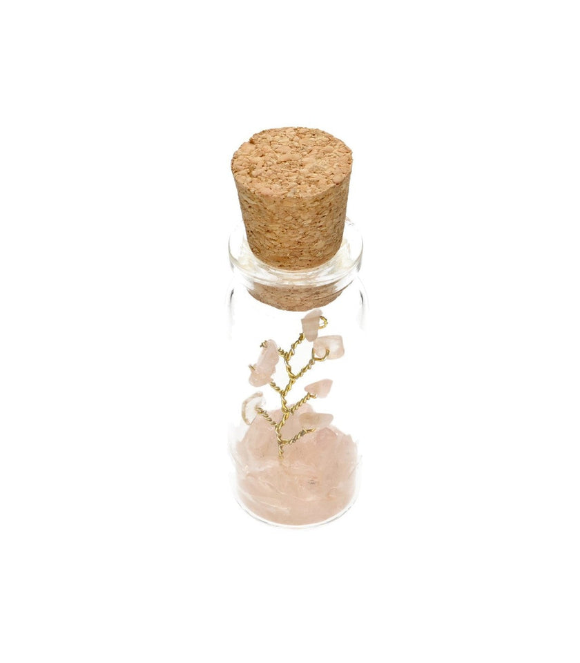Hechizo Encapsulado de Amor | Botellita con Árbol de Cuarzo Rosa Esotergia Tienda