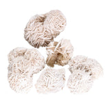 Rosa del Desierto Pequeña – Mineral para Calma y Equilibrio Emocional