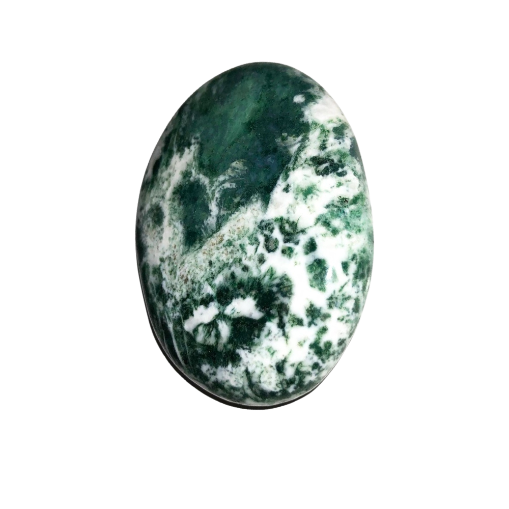 Flat Rolled Tree Agate