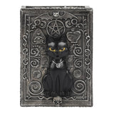 Caixa de armazenamento de recina de gato preto gótico 